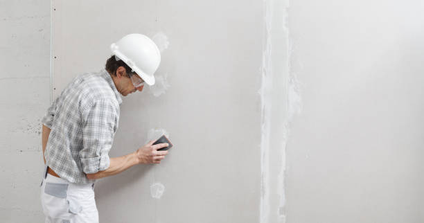 Best Black Mold Removal  in West Hattiesburg, MS