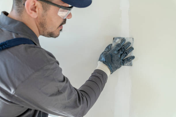Best Emergency Mold Remediation  in West Hattiesburg, MS