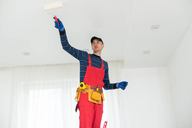 West Hattiesburg, MS Mold Removal Company