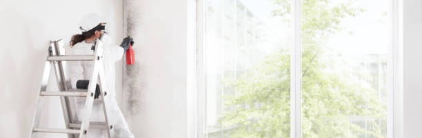 Best Mold Remediation for Healthcare Facilities  in West Hattiesburg, MS